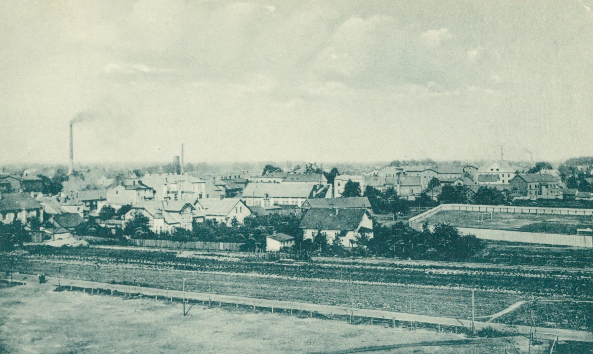 Dziedzice_-_ogolny_widok