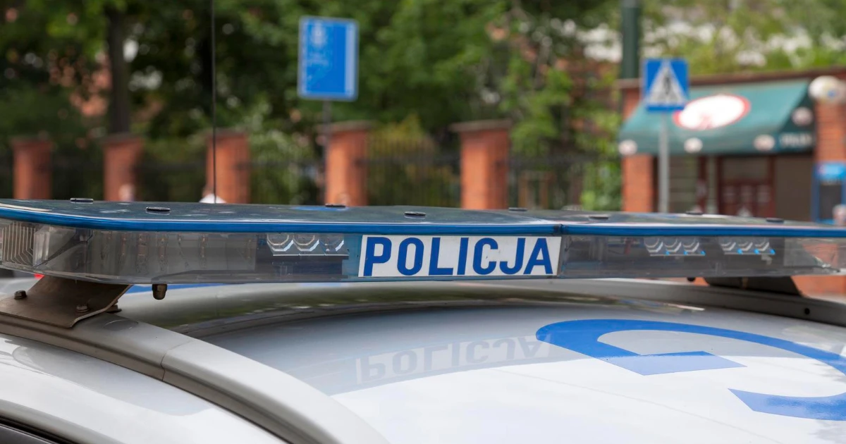 policja